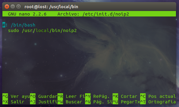 Figura 8: Script de llamada de inicio para noip2.