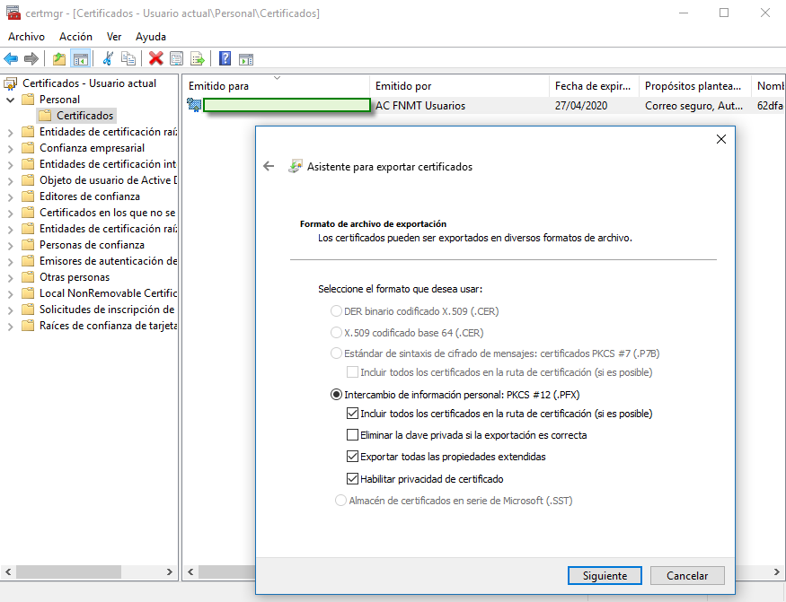 Figura 6: Opciones disponibles para exportar el certificado en formato .pfx.