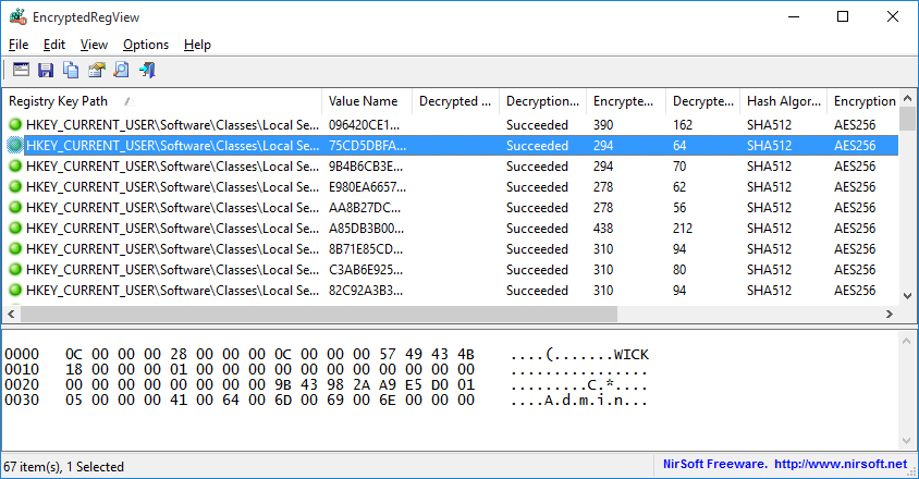 Figura 7: Encrypted Registry View.