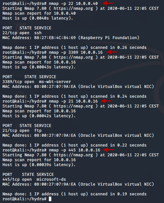 hydra-fuerza-bruta-wordlist-ftp