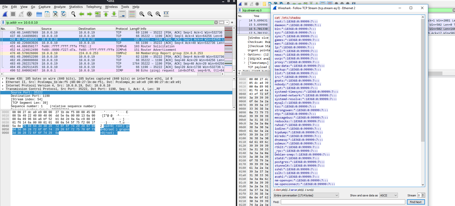 Figura 7: Análisis del tráfico generado con netcat.