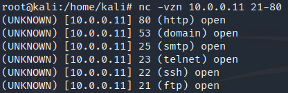 Figura 12: TCP Scan - Escaneo de puertos en modo TCP con netcat.
