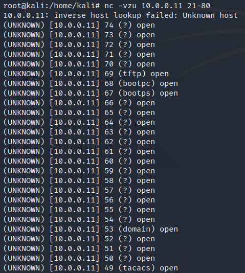 Figura 13: UDP Scan - Escaneo de puertos en modo UDP con netcat.