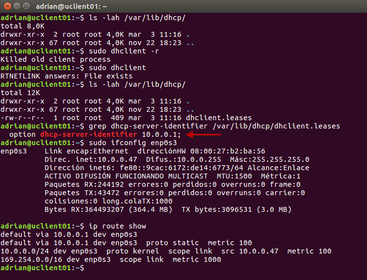 Figura 5: Asignación de dirección IP en un cliente Ubuntu.