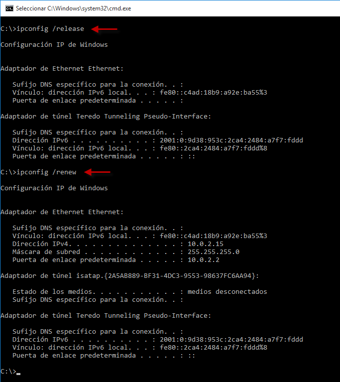 Figura 7: Liberación y asignación de nueva IP a un cliente Windows.