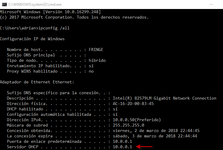 Figura 8: Conocer servidor DHCP en cliente Windows.