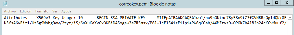 Figura 5: Fichero de salida de la clave privada en texto plano (-nodes).