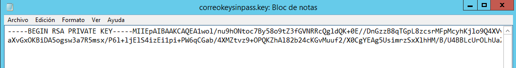 Figura 6: Fichero de salida de la clave privada sin passphrase.