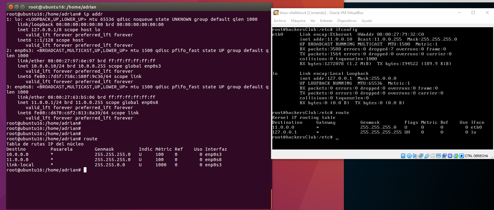 Figura 3: Configuración de red - Máquinas Ubuntu y Linux.