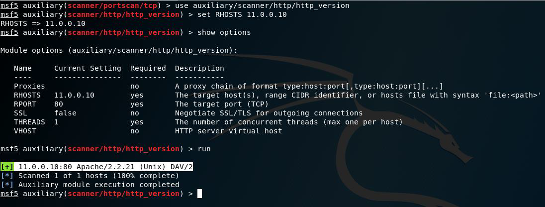 Figura 9: Reconocimiento de versión de servicios web.