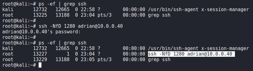 Estableciendo tunel ssh port forwarding dynamic