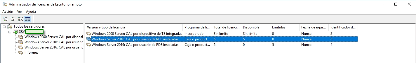Figura 1: Administrador de licencias de Escritorio remoto.