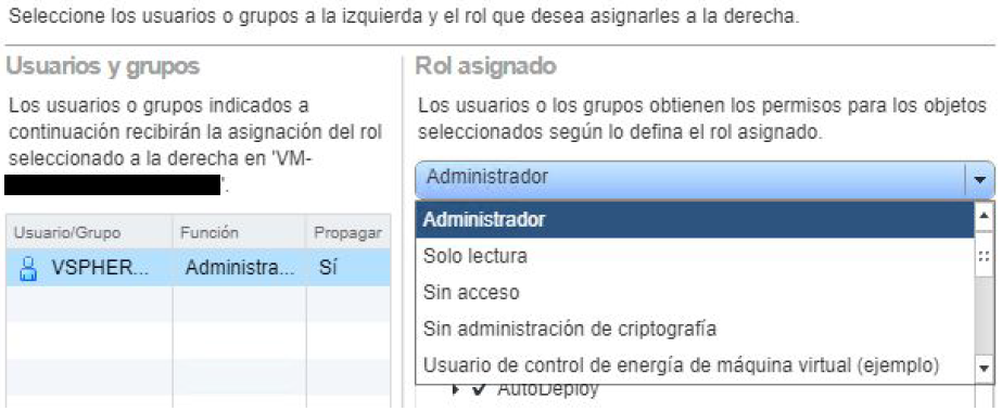 Figura 4: Permisos de Administrador al grupo vSphere Web Client.