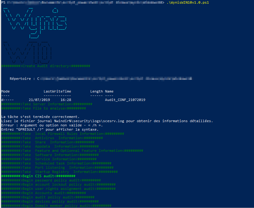 Figura 1: Ejecución de Wynis en un sistema Windows.